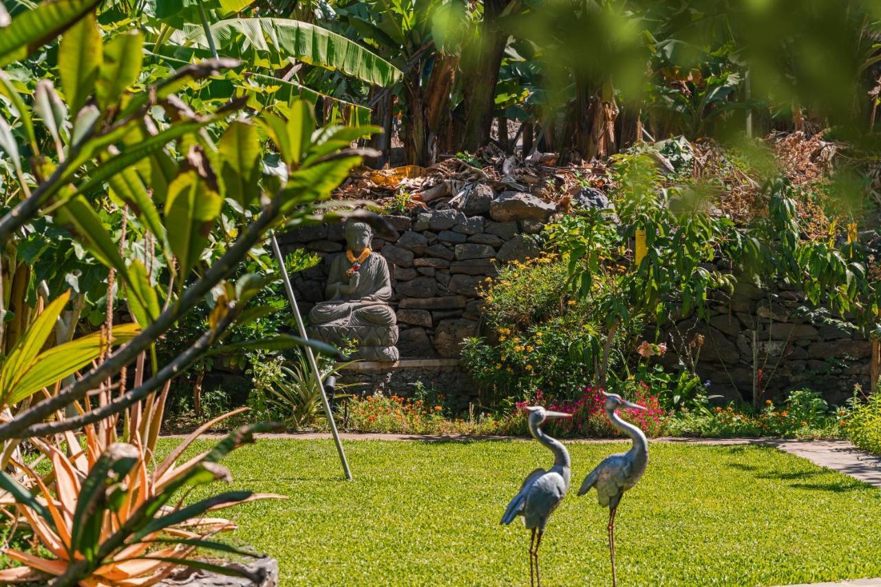 Quinta Golfinho Apartment Arco da Calheta  Bagian luar foto