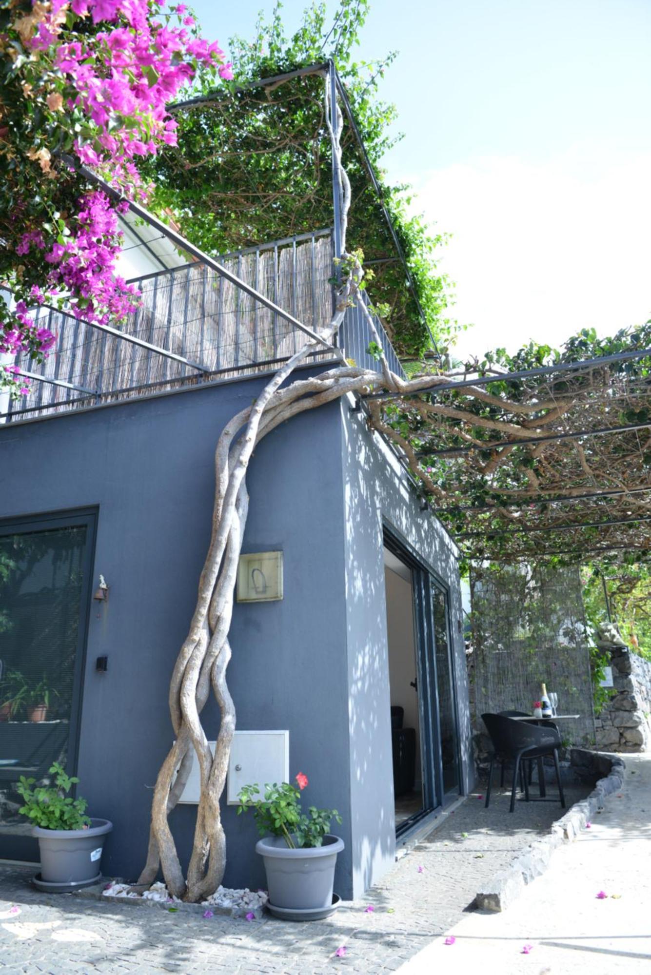 Quinta Golfinho Apartment Arco da Calheta  Bagian luar foto