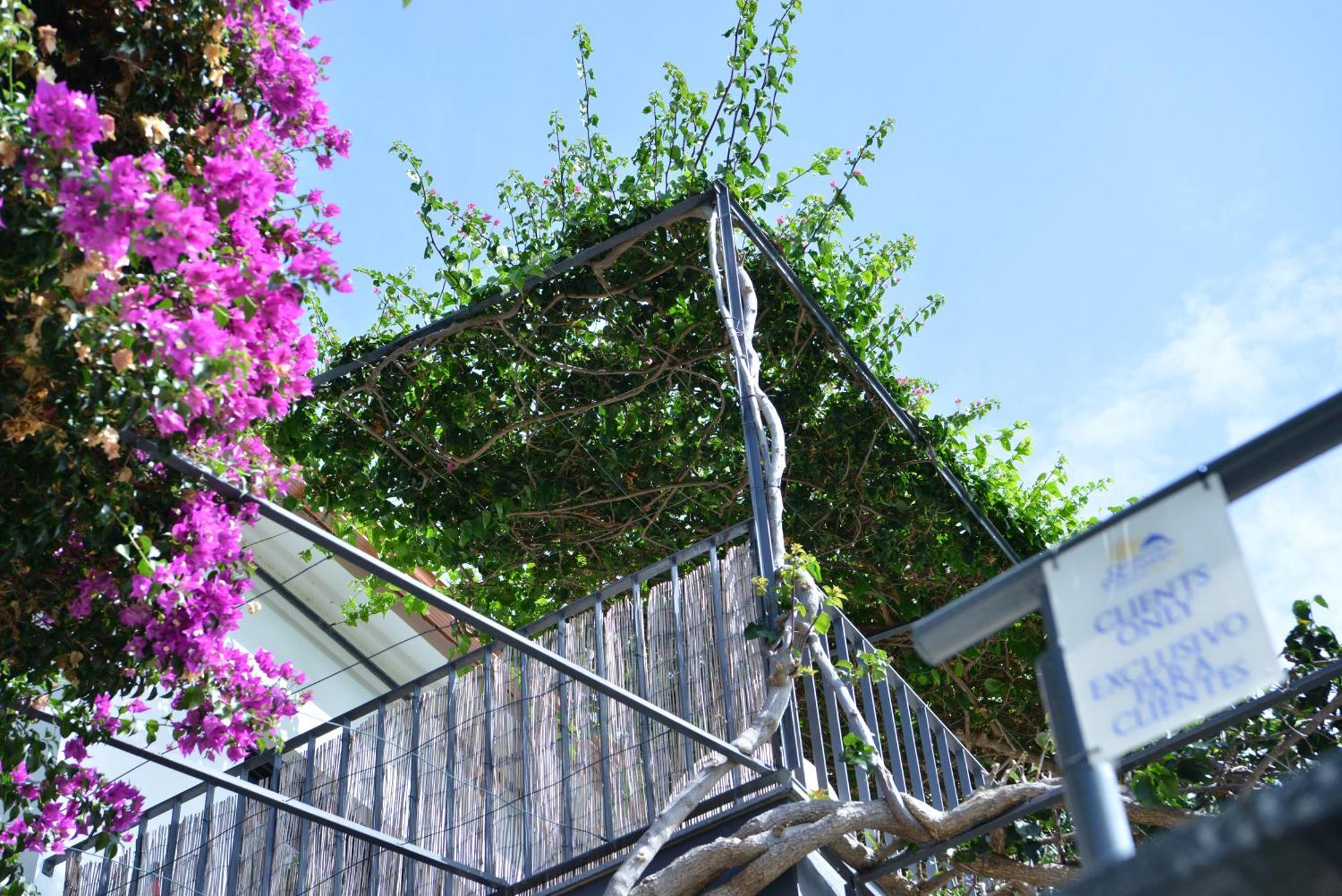 Quinta Golfinho Apartment Arco da Calheta  Bagian luar foto
