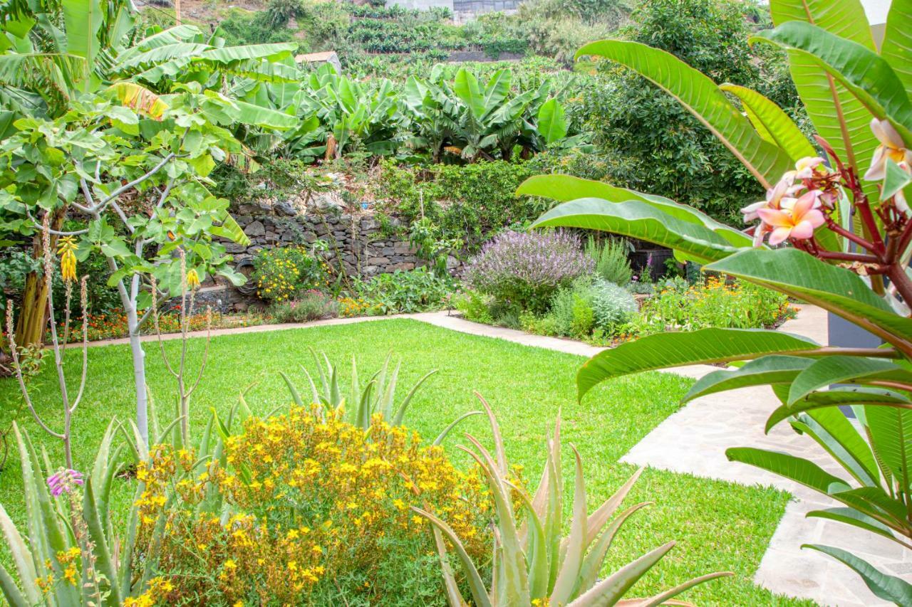 Quinta Golfinho Apartment Arco da Calheta  Bagian luar foto